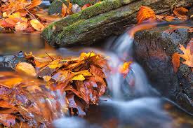 Maybe you would like to learn more about one of these? Indian Well State Park Photograph By Juergen Roth