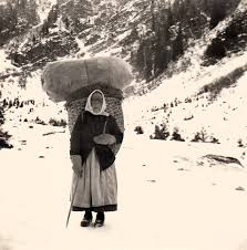 German Culture & More