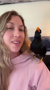 Enjoying the Catchy Song with Argyle the Mynah Bird