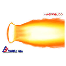 Relais W Fm 05 Manager De Combustion De Bruleur Mazout Weishaupt 600470 Steuergerat Verdun Metz Ronquieres Charleroi