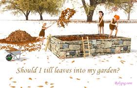 Stepping stones are an attractive addition to your garden and help to keep your soil from compacting. How Long Does It Take To Compost Leaves Speed Up Your Composting