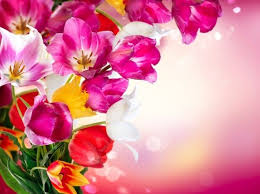 Το τραγούδι του αγιου πνευματοσ (δευτερα μερα κρισεωσ) που τραγουδιόταν την ημέρα της πανήγυρης της ι,μ αγίου πνεύματος, από τους κατοίκους του χωριού του. Erwtikh Prwtomagia Poio Loyloydi Protima To Ka8e Zwdio