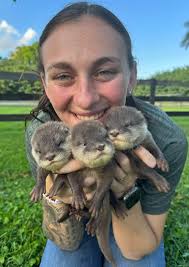 FOR RENT! Apply here