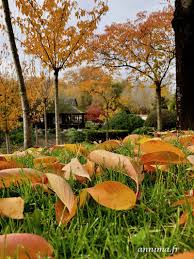 Le Jardin Japonais De Toulouse En Automne Annima Fr Jardin Japonais Jardins Beaux Jardins