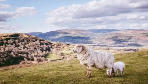 Travellers are attracted to wales because of its beautiful landscape. Wales 1 Land 3 Wege Unzahlige Erlebnisse Blog Asi Reisen