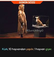 anlamli sozler insaniyet hayvan haklari komik
