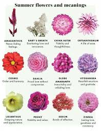 The 21 Secrets That You Shouldnt Know About Flower Meanings Friendship Flower Meanings Friendship Https Ift T Flower Meanings Summer Flowers Pretty Flowers