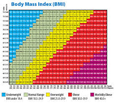 meticulous bmi weight chart uk normal bmi for children bmi