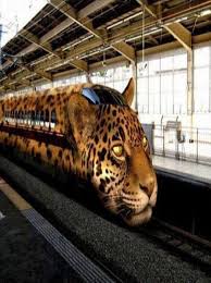 Leopard Train In China Train World Pictures