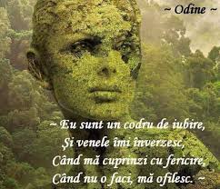 „eu şi tatăl meu nu suntem foarte apropiaţi. Aripi De Iubire Posts Facebook