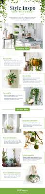 Check spelling or type a new query. 16 Indoor Hanging Plants To Decorate Your Home Proflowers