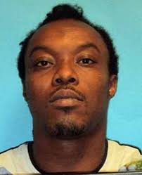 Cops: man with domestic violence past sledgehammered a dog