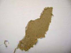 How To Remove Wallpaper And Repair Damaged Drywall Removing Old Wallpaper Home Repairs Removable Wallpaper