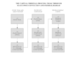 Genuine Criminal Procedure Flowchart Law School 2019