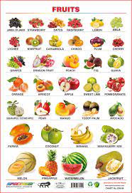 Coconut is one of the staple exports of the islands. Buy Spectrum Educational Large Wall Charts Set Of 5 Wild Animals Birds Fruits Vegetables Flowers Book Online At Low Prices In India Spectrum Educational