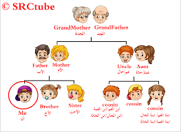 أسماء أفراد العائلة بالانجليزي والعربى بالصور فى شجرة العائلة