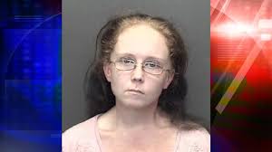 Evansville woman racks up 59 felony charges in fraud case