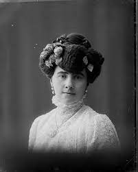 1908 09 1910s Fashion Womens Hairstyles Hair Styles