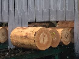 Traitement Des Grumes De Bois Grume De Bois Filiere Bois Bois