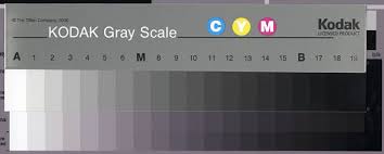 evaluating color in printers and icc profiles