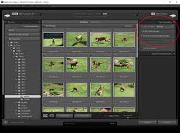 For export, you might want to save an. The Brilliance Of Smart Previews In Adobe Lightroom