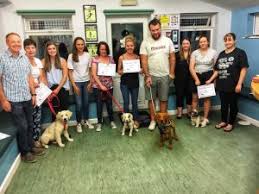 Some puppy socialization is more aggressive than you may have in mind. Puppy Socialisation Training Dorset Hampshire New Forest Ringwood Dogs