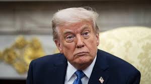 Un voyage autour du monde avec Biscuit et Cassonade