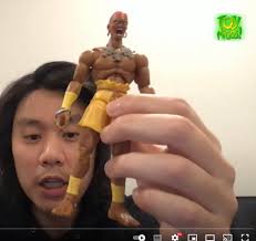 Anyone collect Street Fighter Action Figures?