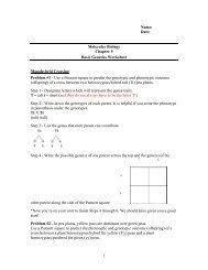 Some of the worksheets for this concept are chapter 10 dihybrid cross work, biology 3a practice genetics trihybrid cross dimples are, dihybrid cross work, punnett squares dihybrid crosses, dihybrid cross, punnett square work, dihybrid punnett square practice, practice genetic problems. Dihybrid Practice Worksheet
