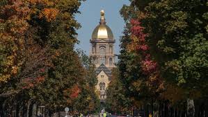 Trader joe's coming to the neighborhood see the golden dome from your front yard! Notre Dame Hasn T Lost Its Shine