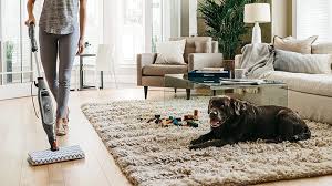 best steam cleaner: 8 top steam