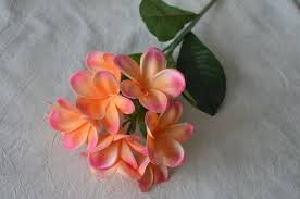Coral Pink Frangipani Plumerias Stems Natural Real Touch Etsy Real Touch Flowers Frangipani Fragrant Flowers Garden