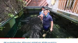 31 Ikannya Mati Massal Karena Ini Irfan Hakim Putuskan Kuras Habis Akuarium Raksasa Mendebarkan Halaman 2 Tribun Jakarta