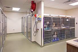 Pin On Building A Vet Practice