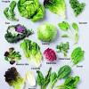 Your whole quaranteam will love all of these vegetarian holiday recipes! Https Encrypted Tbn0 Gstatic Com Images Q Tbn And9gcqmw Nfcbg Tbuv1j3xwrp6zvqrxky4t3ju7k9afsk Usqp Cau