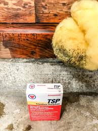 Take two gallons of warm water and mix one to 1½ cup of tsp in it. 5 Tips For Painting Wood Paneling Like A Pro The Handyman S Daughter