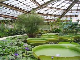 How temperature control helps your greenhouse plants. Greenhouse Wikipedia
