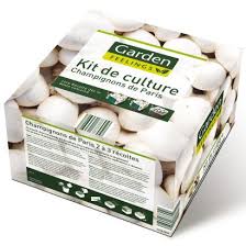 Kit De Culture De Champignons Garden Feelings R Comprenant Bac De Culture Env 3 L Terreau Env 1 3 Culture Champignon Champignon Champignon Des Bois