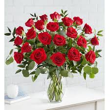 Delivered in a clear glass rose vase, if selected. Fred S Flowers Gifts Flowers