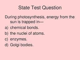 Energy In A Cell Cellular Respiration Photosynthesis Ppt Download