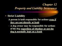 This is in contrast to claims against a party for negligence or tortious intent. Chapter 12 Property And Liability Insurance The Concept Of Liability Liability Is The Financial Responsibility One Person Has To Another In A Situation Ppt Download
