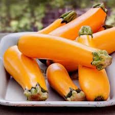 I can highly recommend them to anyone no matter how much or little space you have. Orange Zucchini Seeds Soleil PreÈ› 1 85