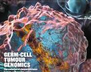 Scientific Journal Cover Designs - Ella Maru Studio