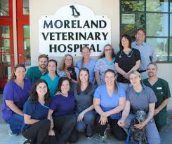 University veterinary hospital is located on university ave close to the freeway. Veterinarians Team In Portland
