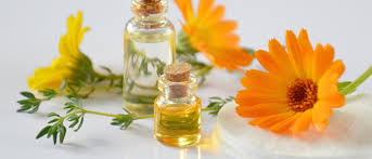 Tom vermeersch, psychologue certifié et expert en fleurs de bach. Fleur De Bach Avis Est Ce Vraiment Efficace