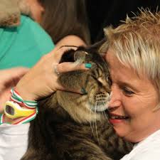 WW'12,'11,'10 Surya Maine Coon Pablo Escobar,JWSurya Maine Coon