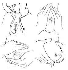 Lactancia Materna Extraccion Manual Amor Maternal
