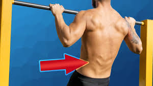 Build muscle, lose fat & stay motivated. How To Train Lower Back With Calisthenics Youtube