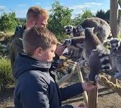 Lemur Encounter