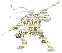 Ninja Turtle Cdhawareness Word Cloud Word Cloud Words Awareness
